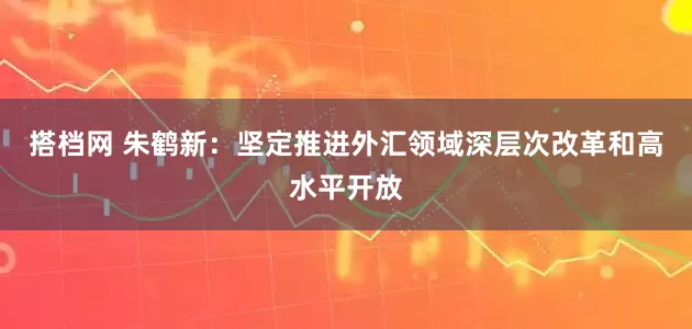 搭档网 朱鹤新：坚定推进外汇领域深层次改革和高水平开放