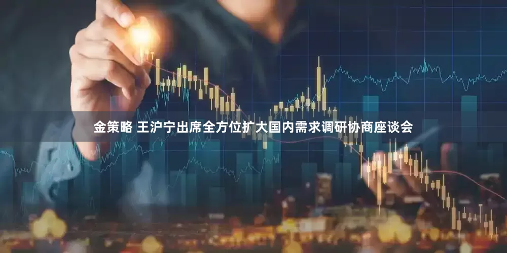 金策略 王沪宁出席全方位扩大国内需求调研协商座谈会