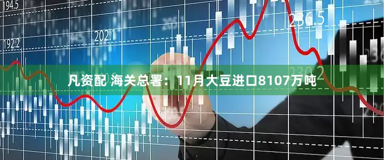 凡资配 海关总署：11月大豆进口8107万吨