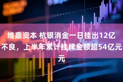 维嘉资本 杭银消金一日挂出12亿不良，上半年累计挂牌金额超54亿元